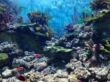 常州金鷹海洋世界