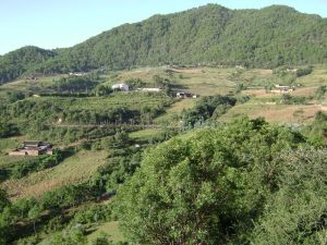 瓦葫蘆村 瓦葫蘆村