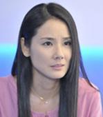 <<變臉>>[2010年日本電視YTV電視劇]