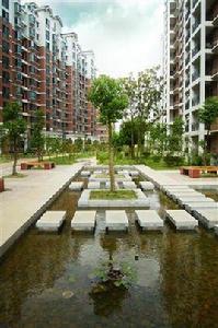 現代森林花園 現代森林花園