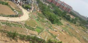 齊長城花園 齊長城花園