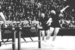 桌球各種類型打法