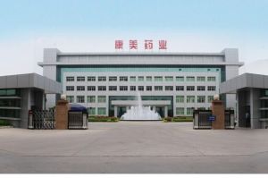 廣東康美藥業股份有限公司 廣東康美藥業股份有限公司