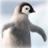 企鵝主題動態壁紙 企鵝主題動態壁紙