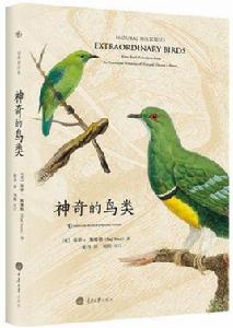 神奇的鳥類 神奇的鳥類