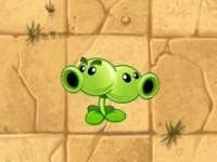 裂莢射手 裂莢射手