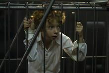 胡桃夾子[2010年安德烈&middot;康查洛夫斯基執導電影]