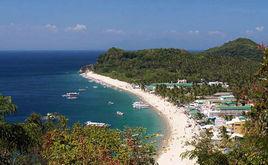 太平洋海豚灣 太平洋海豚灣