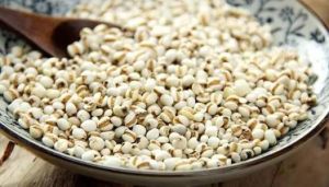 金沙薏米 金沙薏米