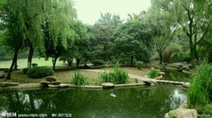 菊花塘公園 菊花塘公園