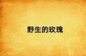 野生的玫瑰 野生的玫瑰