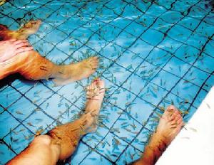 　浴客們感覺很愜意