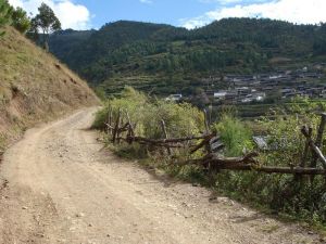 老虎箐彝族自然村 老虎箐彝族自然村