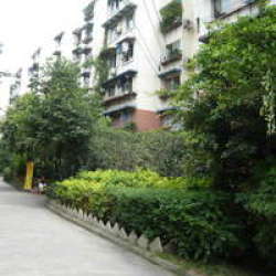 蓮花一區 蓮花一區