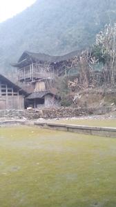 苦竹壩村 苦竹壩村