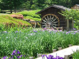 大和民俗公園 大和民俗公園