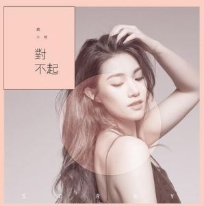 對不起[趙大格演唱歌曲]