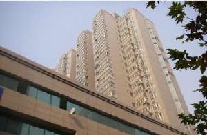 天倫明珠 天倫明珠