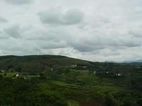 大林子自然村 大林子自然村