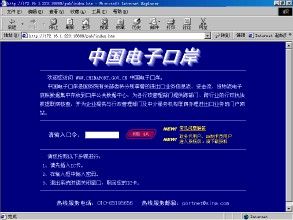 中國電子口岸執法系統 中國電子口岸執法系統
