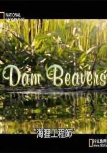 海狸工程師 海狸工程師