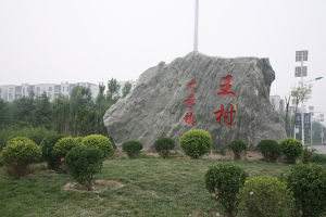 天津王村