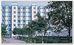 重慶城市管理職業學院