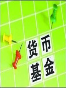 貨幣市場共同基金 貨幣市場共同基金