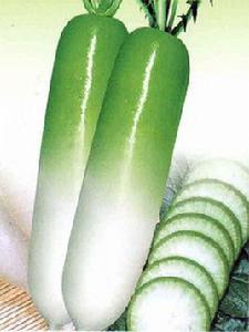 豐光一代 豐光一代