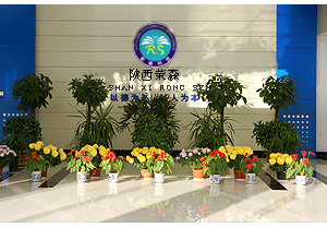 陝西榮森科工貿有限公司