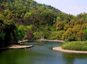 谷山公園 谷山公園