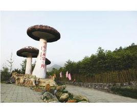 中國食用菌之鄉 中國食用菌之鄉