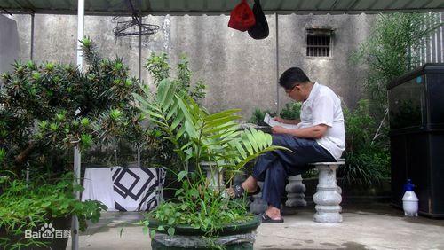 廣東普寧東街道上塘歸湖村