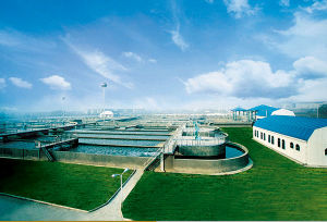 中煤第三建設（集團）有限責任公司