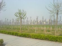 石家莊信息工程職業學院 學院景色