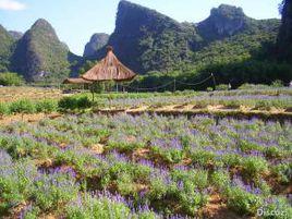 寶鴨山永久墓園 寶鴨山永久墓園