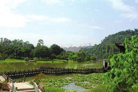 瀘州張壩桂圓林 瀘州張壩桂圓林