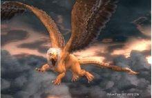 艾奇德娜的孩子們