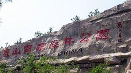 山東原山國家森林公園 山東原山國家森林公園