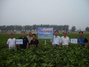 金正大公司在全國開展緩控釋肥試驗示範