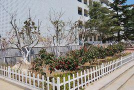 威海市塔山中學 威海市塔山中學