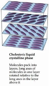 膽甾型液晶 膽甾型液晶
