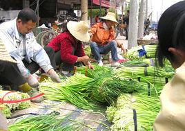 七星台鎮 七星台鎮
