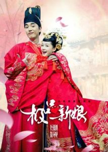 極品新娘 極品新娘