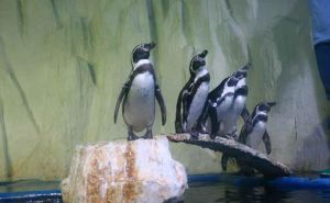 福州左海海底世界