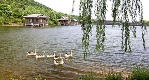 大石山旅遊農莊 大石山旅遊農莊