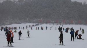 威海中國國際旅行社 威海中國國際旅行社