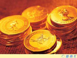 賒銷收入淨額 賒銷收入淨額