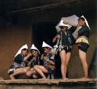 哈尼哈巴 哈尼哈巴