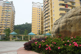 陽光花園 陽光花園